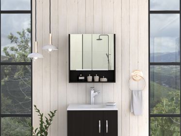 Manchester Rectangle Medicine Cabinet with Mirror Black Wengue - as Pic