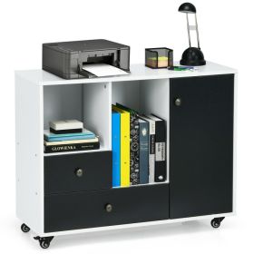 Lateral Mobile Filing Cabinet with 2 Drawers - black