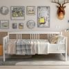 Modern Solid Wood Daybed; Multifunctional; Twin Size; White (Previous SKU: WF191899AAK) - as Pic