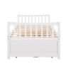 Daybed with Trundle and Drawers; Twin Size; White(OLD SKU: LP0000141KAA) - pic