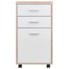 Kenner File Cabinet; 2-Drawer; Reclaimed Wood and White - 18316